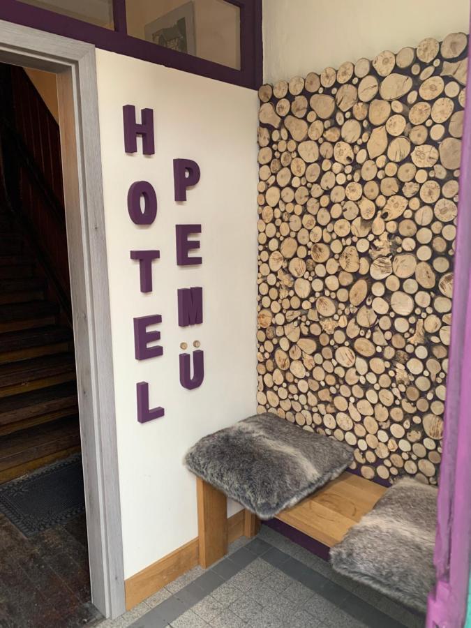 Hotel Pemue 4*